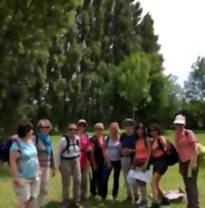 randonnee pedestre a nantes