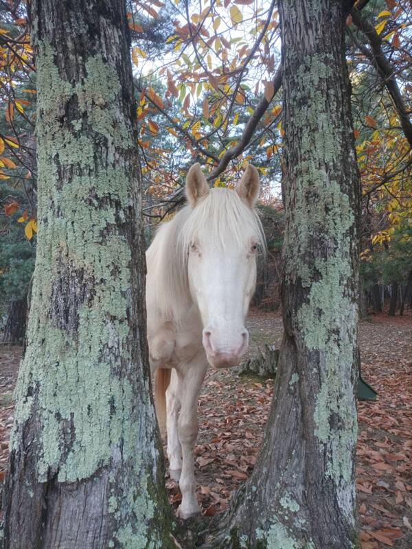 Recherche un bout de terrain a partager