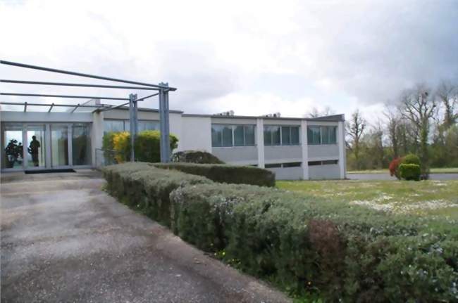 Location bureaux 285m²