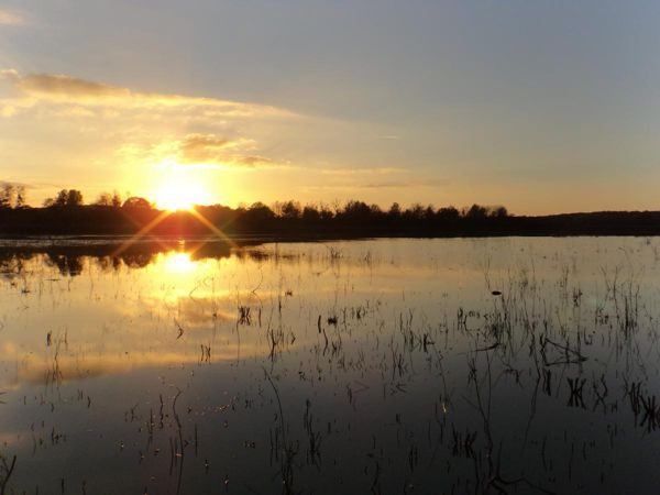 ACCOMPAGNATEUR À LA DÉCOUVERTE DES RICHESSES NATURELLES DE LA RÉSERVE NATURELLE RÉGIONALE DES ÉTANGS DE BELVAL EN ARGONNE