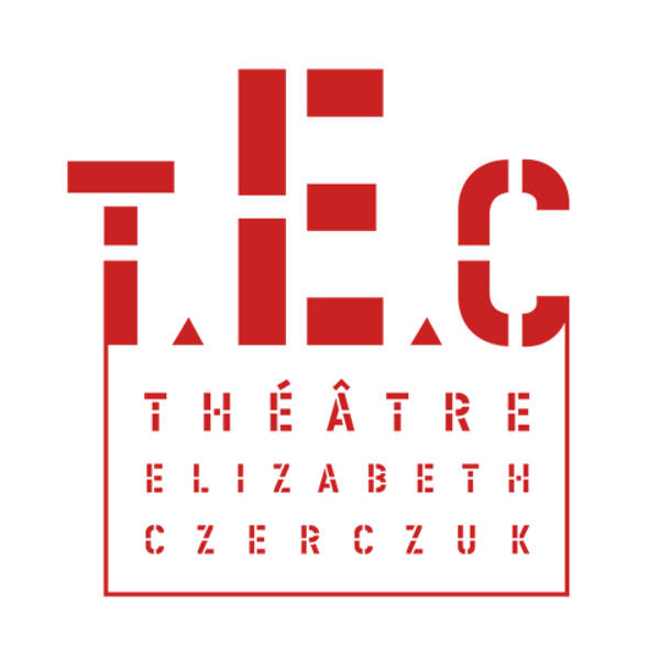 URGENT Danseur Homme - Théâtre Élizabeth Czerczuk