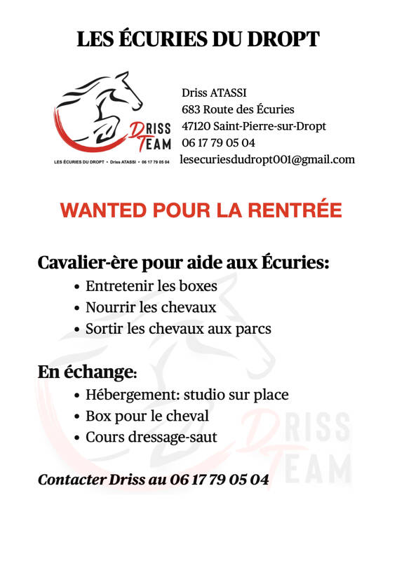 Cavalier-ère pour aide aux Écuries du Dropt