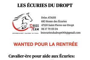 Cavalier-ère pour aide aux Écuries du Dropt