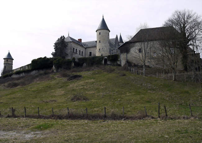 Vue du château d'Andert - Andert-et-Condon (01300) - Ain