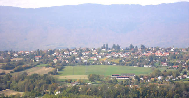 Marché hebdomadaire