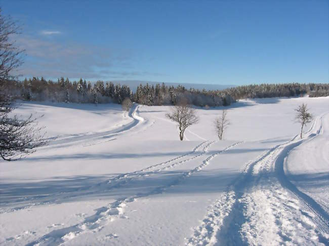 Vue du plateau de Retord situé partiellement sur le territoire communal de Châtillon-en-Michaille - Châtillon-en-Michaille (01200) - Ain