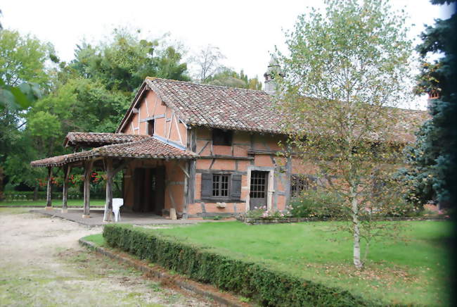 Ferme de la Bourlière - Chevroux (01190) - Ain