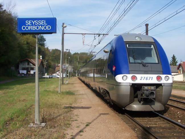 TER en gare de Seyssel-Corbonod - Corbonod (01420) - Ain