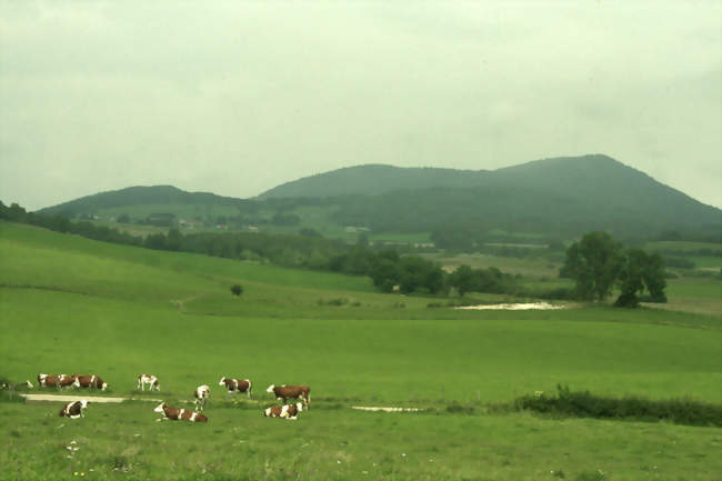 Vue de Corlier et de l'Avocat - Corlier (01110) - Ain