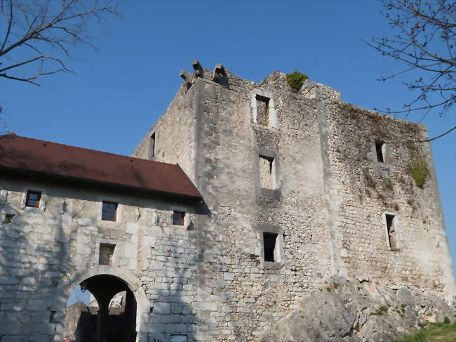 Château de Rochefort-sur-Séran à Cressin-Rochefort - Cressin-Rochefort (01350) - Ain