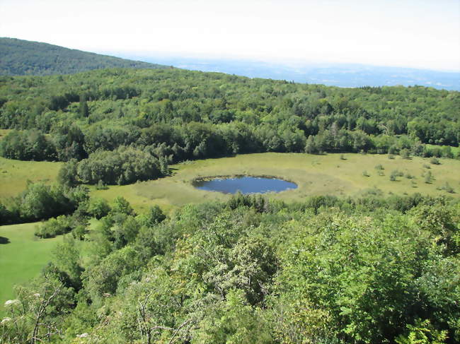 La tourbière de Cerin à Marchamp - Marchamp (01680) - Ain