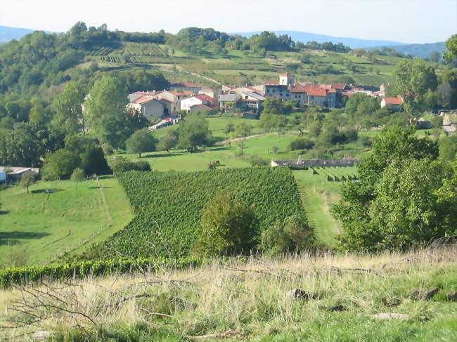 Vue du village - Mérignat (01450) - Ain