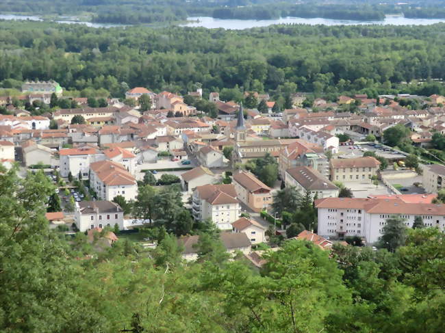 Vue de Miribel-centre depuis le sommet de la Vierge du Mas Rillier Au second plan, le Vieux Rhône et le Grand parc de Miribel-Jonage - Miribel (01700) - Ain