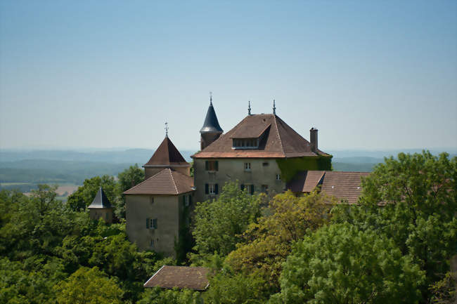 Le château de Montagnieu - Montagnieu (01470) - Ain