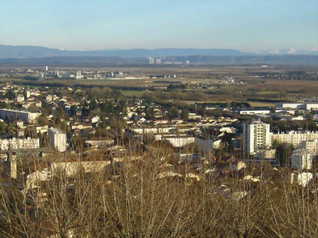 Marché de Montluel (tous les vendredis)