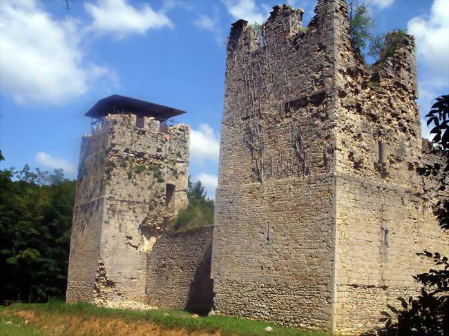 Vue du château de Thol à Neuville-sur-Ain - Neuville-sur-Ain (01160) - Ain