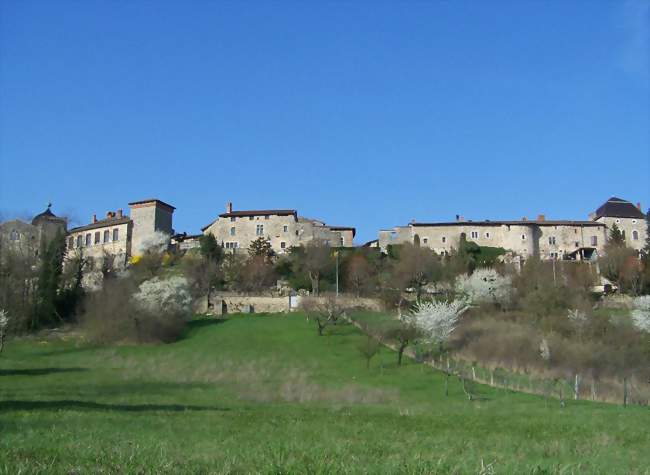 Vue extérieure de la cité médiévale de Pérouges - Pérouges (01800) - Ain