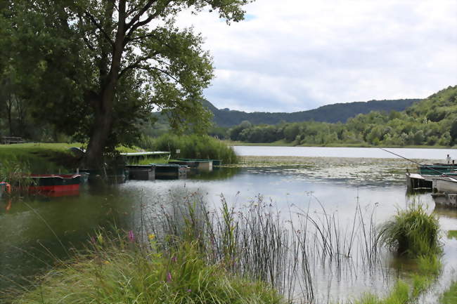Le lac de Barterand - Pollieu (01350) - Ain
