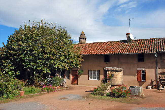 La ferme Coulas à Reyssouze - Reyssouze (01190) - Ain