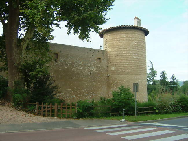 Château de Saint-Bernard - Saint-Bernard (01600) - Ain