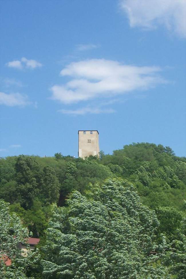 La Tour du château de Saint-Denis - Saint-Denis-en-Bugey (01500) - Ain