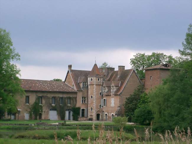 Château de Saint-Paul-de-Varax - Saint-Paul-de-Varax (01240) - Ain