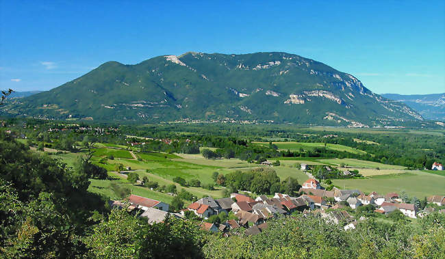 Vongnes et le Grand Colombier - Vongnes (01350) - Ain