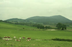 photo Corlier