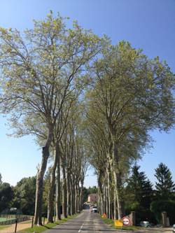 photo Monthieux