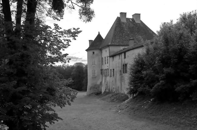 Le château d'Arrentières - Arrentières (10200) - Aube
