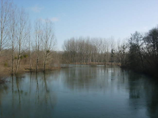 L'Aube en crue en janvier 2012 - Avant-lès-Ramerupt (10240) - Aube