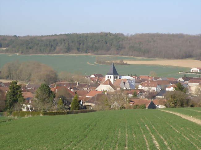 Vue générale d'Avirey-Lingey - Avirey-Lingey (10340) - Aube