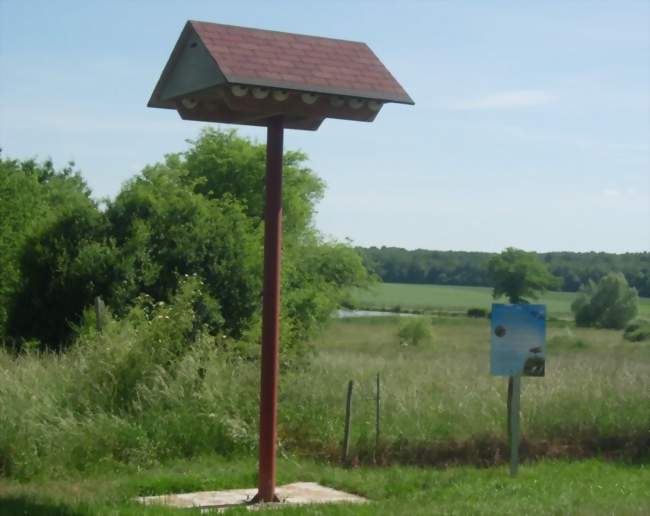 Tour à hirondelles de fenêtres construite par le Centre permanent d'initiatives pour l'environnement du pays de Soulaines-Dhuys - La Chaise (10500) - Aube