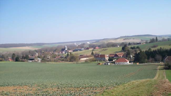 Vue de la commune - Chennegy (10190) - Aube