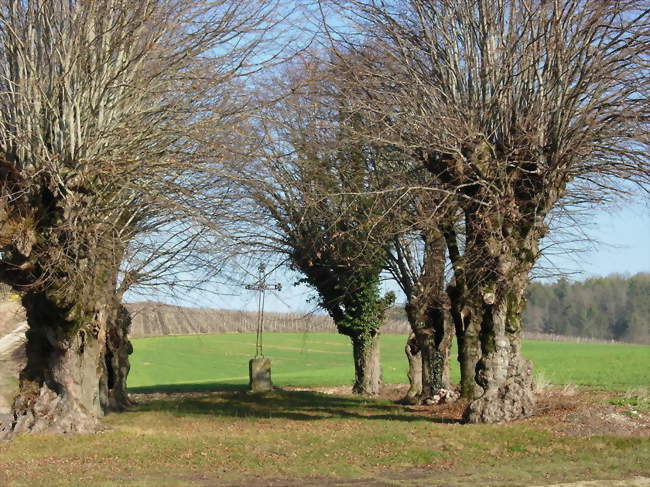 Ouvrier / Ouvrière en viticulture