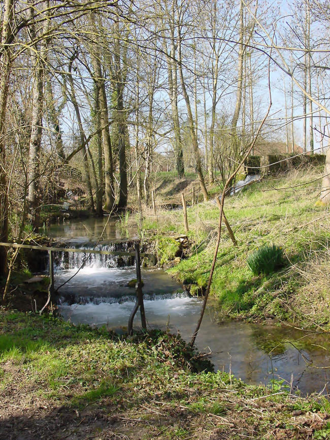 La Mogne rivière prenant sa source à Crésantignes Ruines de l'un des anciens moulins - Crésantignes (10320) - Aube