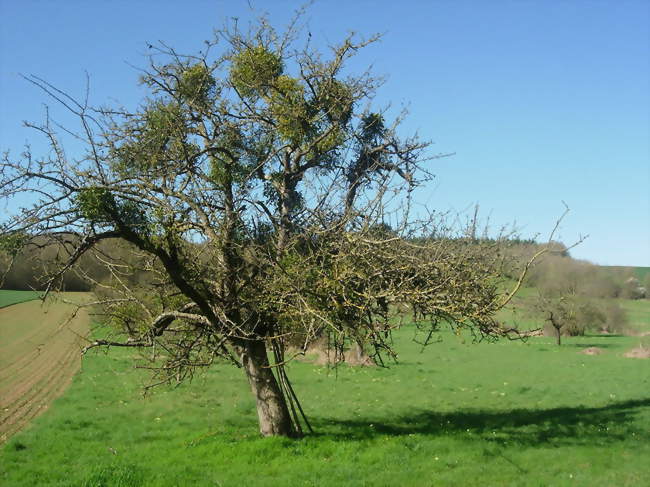 Couvreur / Couvreuse
