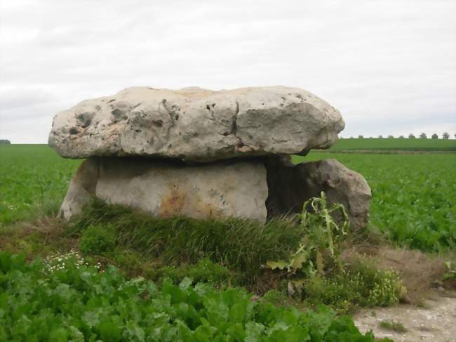 Le dolmen du Vamprin - Marcilly-le-Hayer (10290) - Aube
