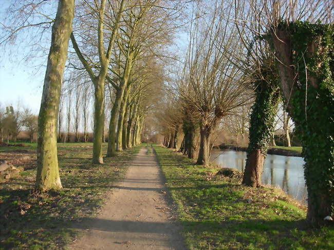 Le Parc de la Béchère - Romilly-sur-Seine (10100) - Aube