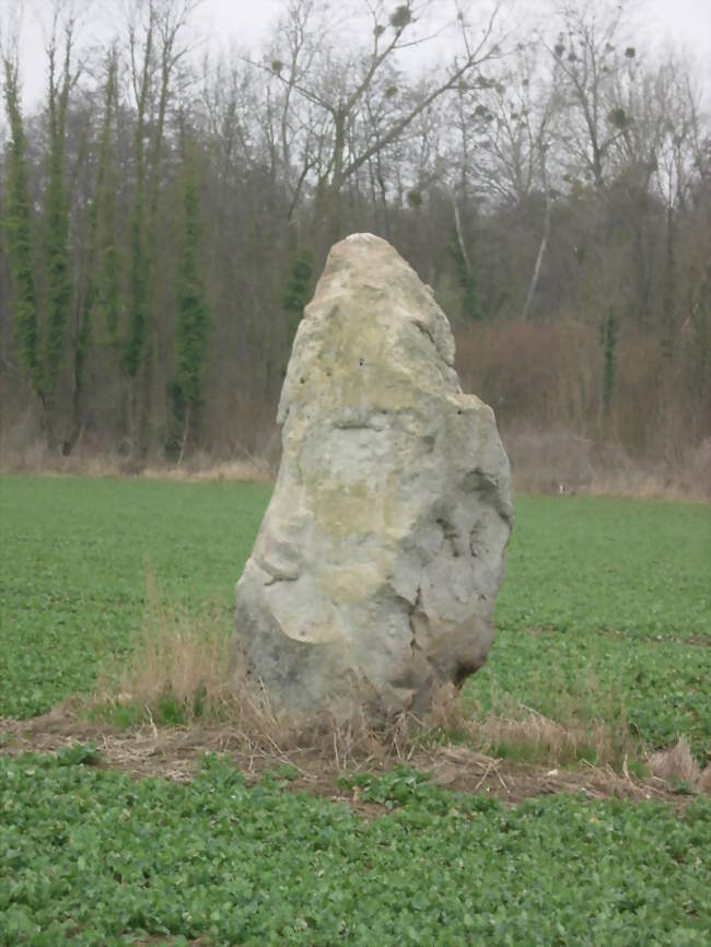 Le menhir de la Grande-Pierre - Saint-Aubin (10400) - Aube