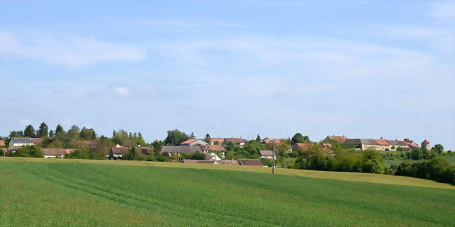 Hameau de Courtioux - La Saulsotte (10400) - Aube