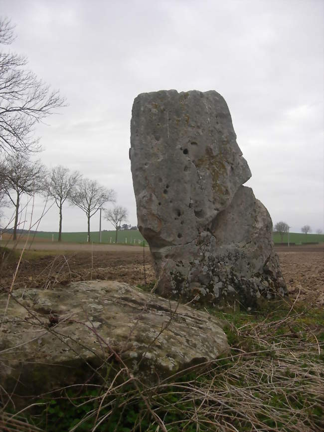 Le menhir de la Pierre-au-Coq - Soligny-les-Étangs (10400) - Aube
