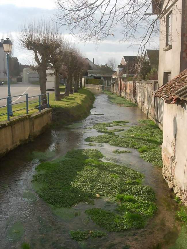 La Barse à Vendeuvre-sur-Barse - Vendeuvre-sur-Barse (10140) - Aube