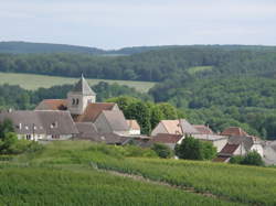 Ouvrier / Ouvrière en viticulture