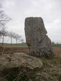 photo Ramasseur / Ramasseuse de pommes de terre