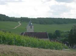 photo Tractoriste agricole