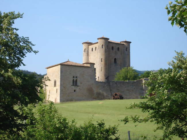 Château d'Arques - Arques (11190) - Aude