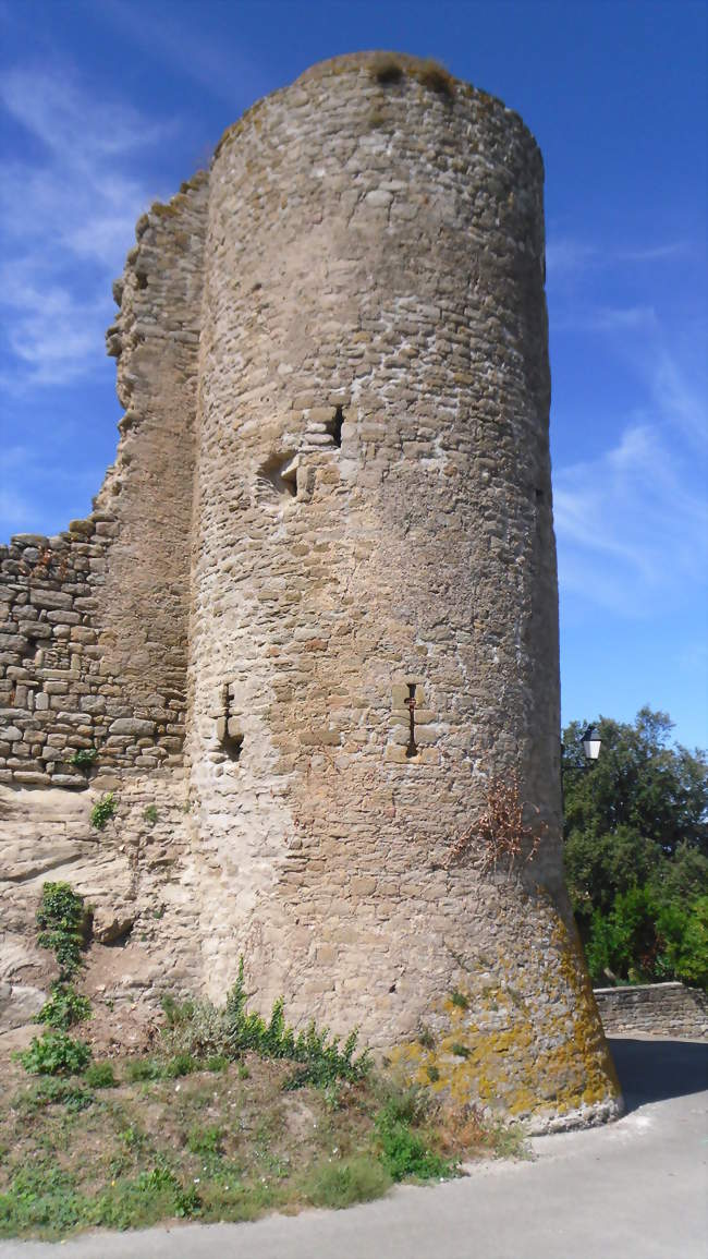 Château de Bouilhonnac - Bouilhonnac (11800) - Aude