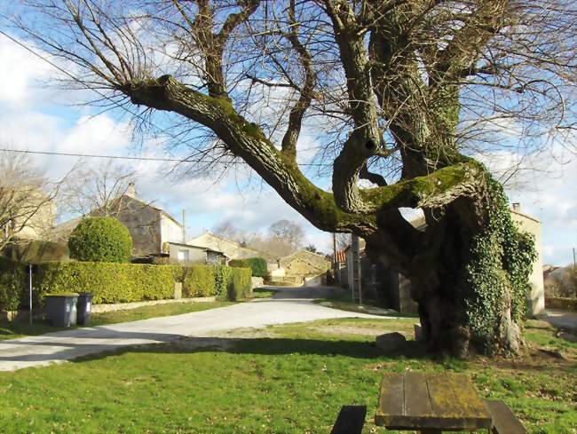 Vue du centre du Villaret - Brousses-et-Villaret (11390) - Aude