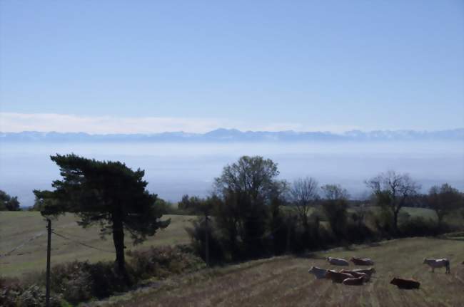 Vue sur les pyrénées depuis Les Brunels (11400) - Crédit: polaris11 (CC by SA)